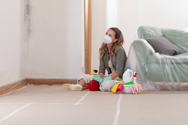 Reliable Mold Remediation contractor in Midland Park, NJ by Cheap Mold Removal